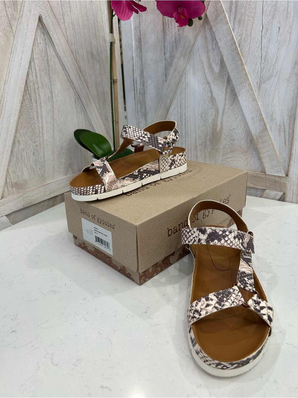 Band of Gypsies Snake-Print Sandal in Brown and Cream